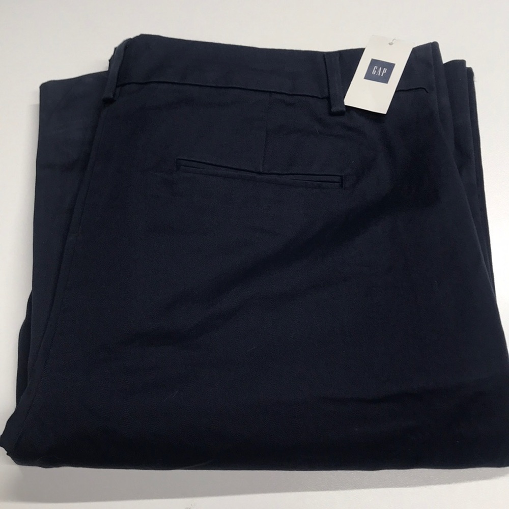 GAP Womens 10 Long Blue Khaki Pants